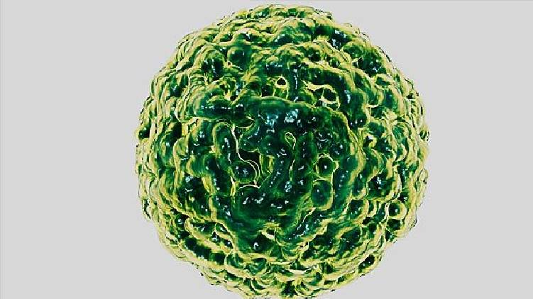 thrissur reports 4 more norovirus cases