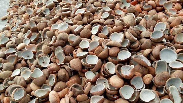 Copra floor price increased