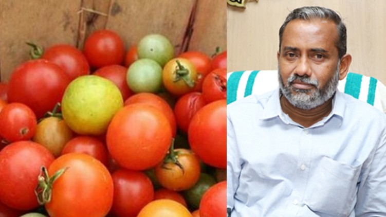 vegetable price