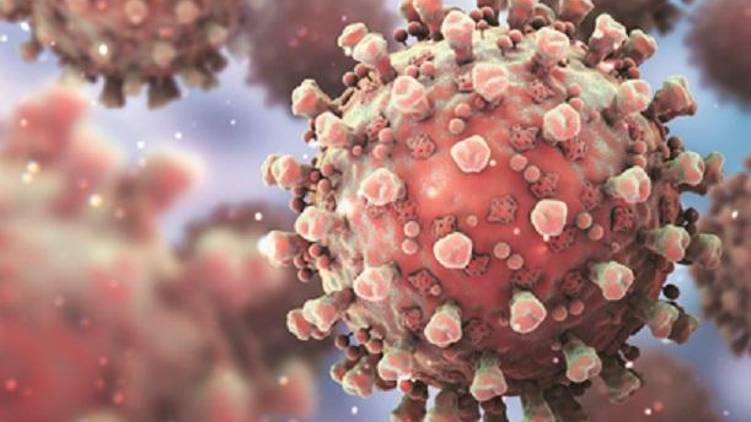 kerala confirms 3205 covid cases