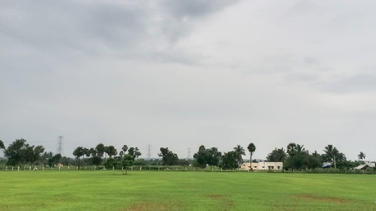 Natarajan Cricket Ground tamilnadu