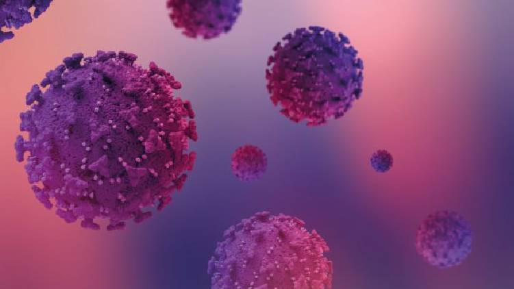 kerala reports 9 omicron cases