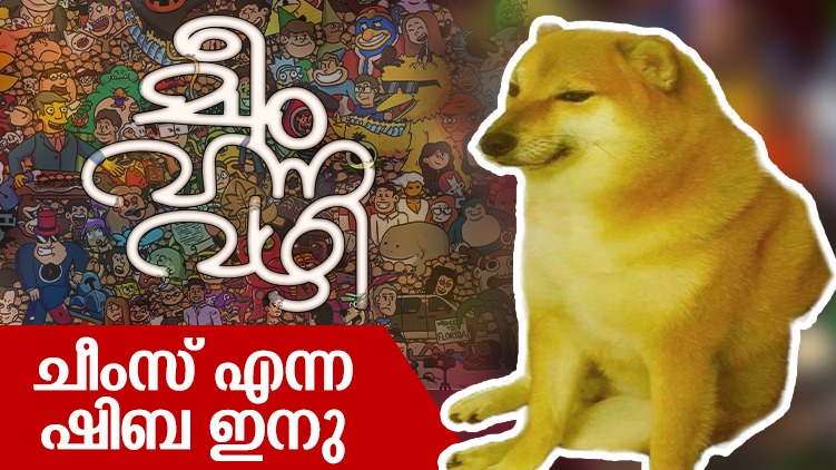 meme cheems shiba inu