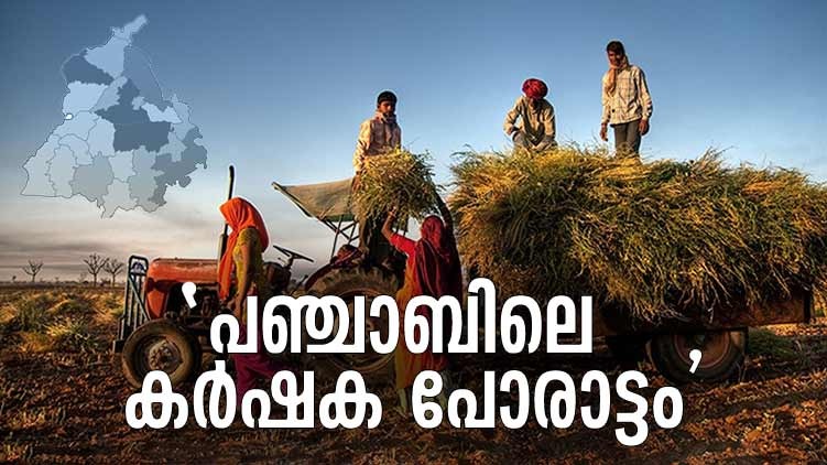 punjab farmers