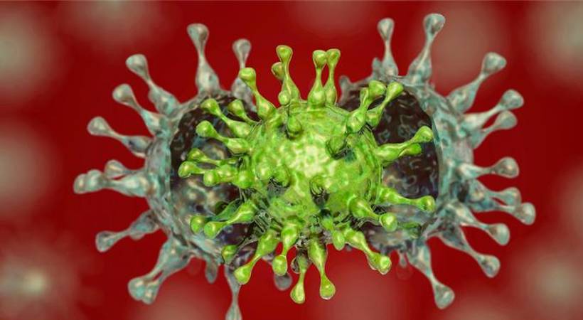 coronavirus two years
