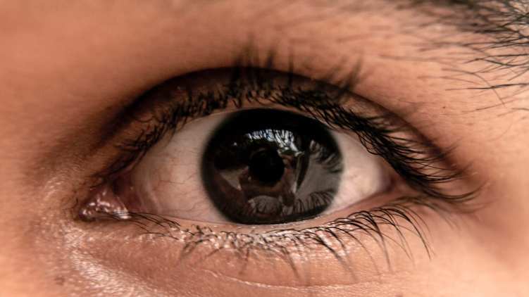 mammootty eye testing camp
