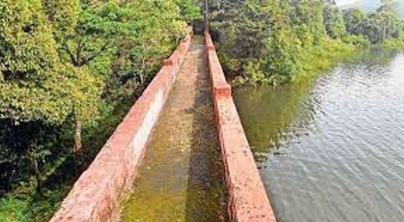 mullaperiyar tree cutting benny letter