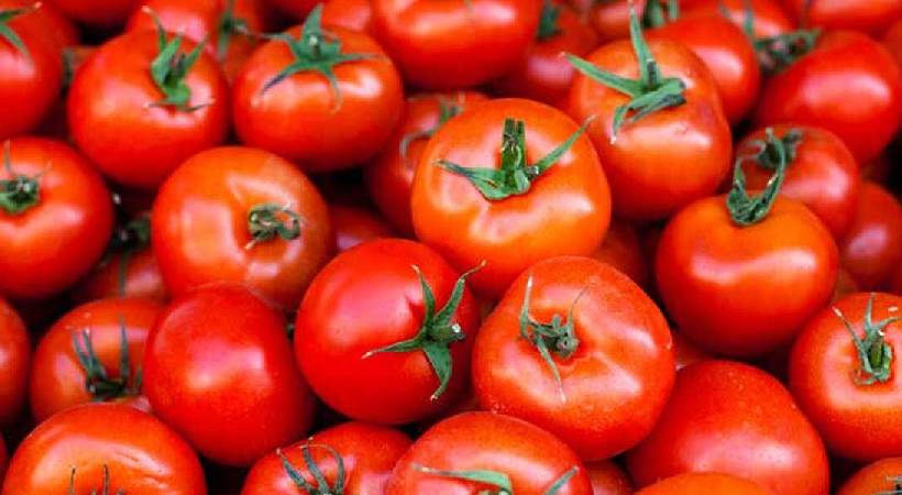 farmer-brothers-sell-2k-boxes-of-tomatoes-for-rs-38-lakh