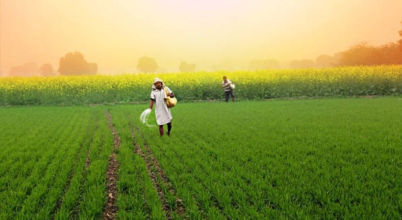 budget 2022 farming sector