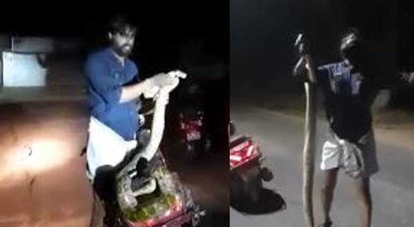 drunk man catch snake