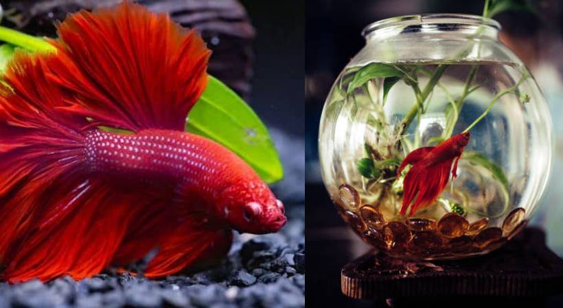 budget friendly gift ideas