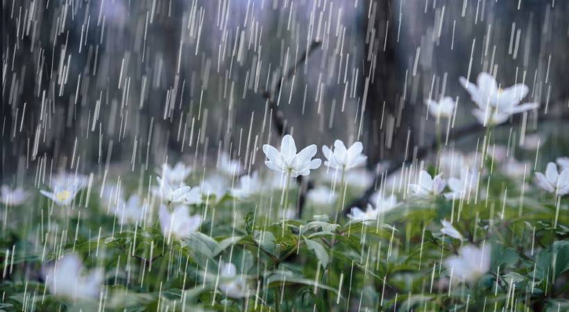 rain alert in 7 districts