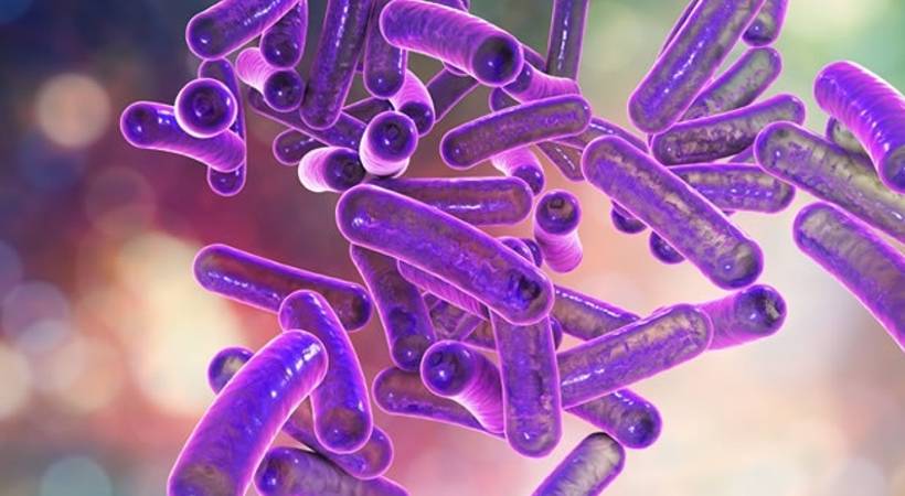 shigella not reported says kerala health minister