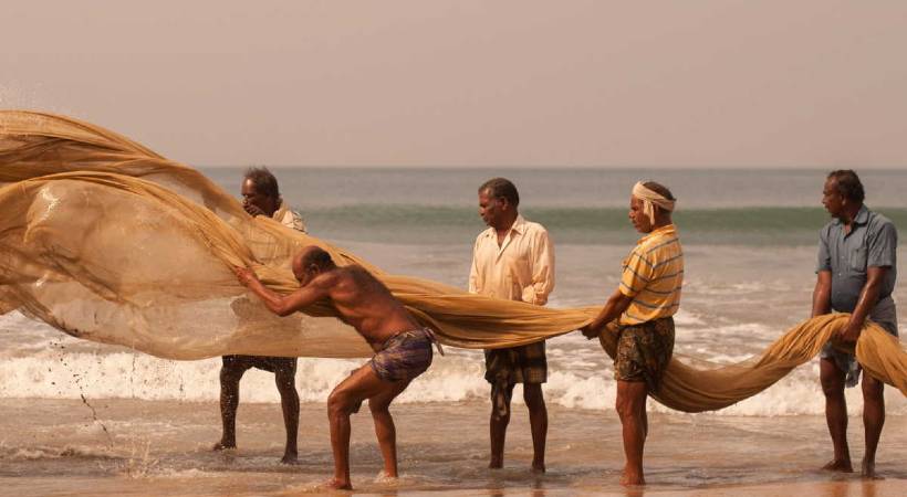 24 crore allotted for fisheries