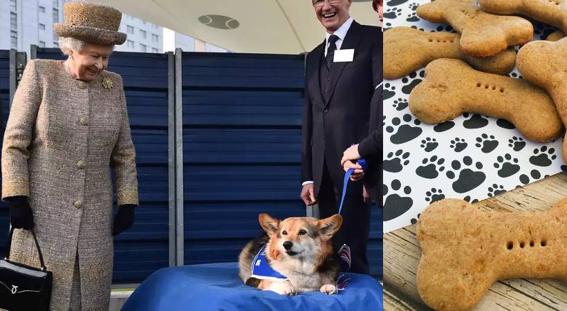 UK health minister accidentally ate dog biscuits