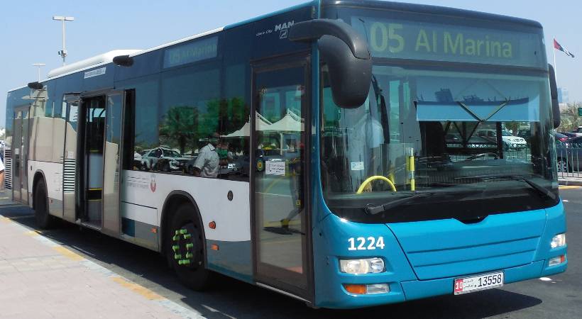 bus