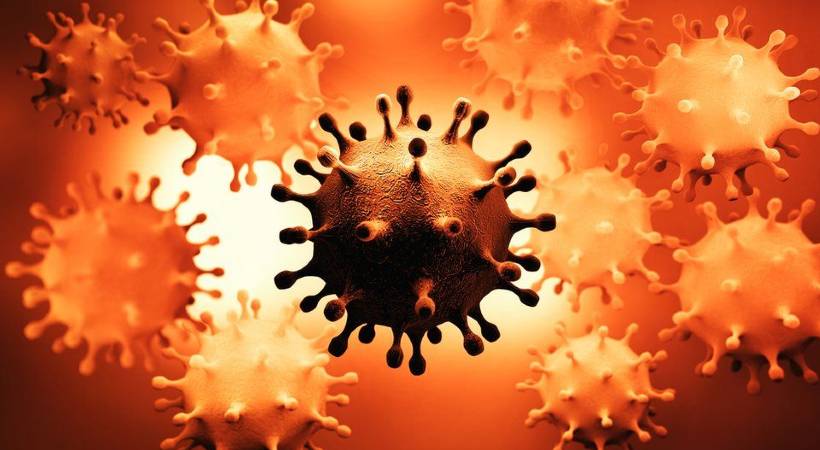 kerala reports 558 covid cases