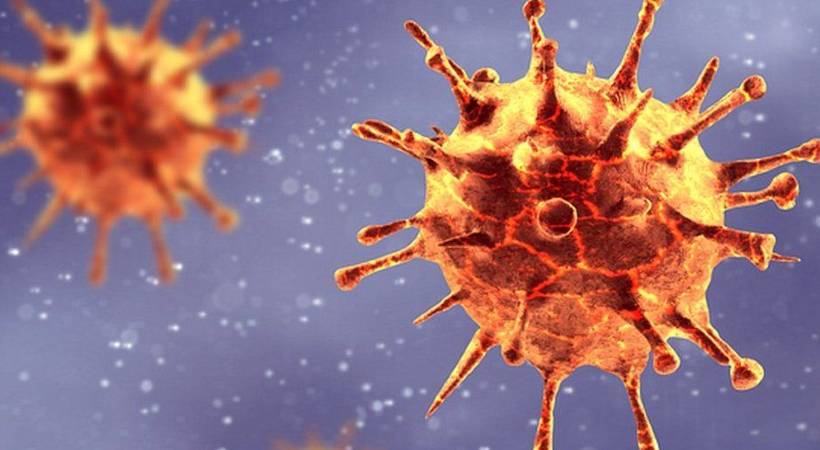 kerala reports 885 covid cases