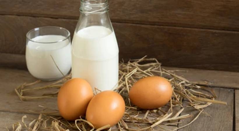 milk and egg included in anganwadi menu