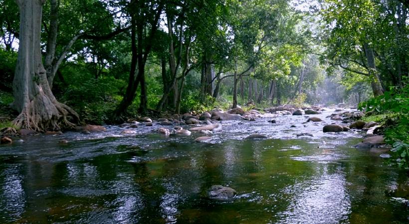 neyyar wildlife sanctuary tour packages