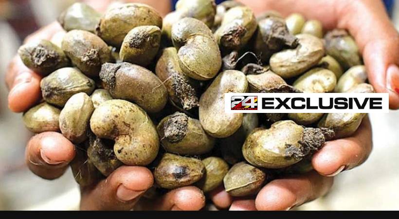 planned sabotage in capex 24 exclusive