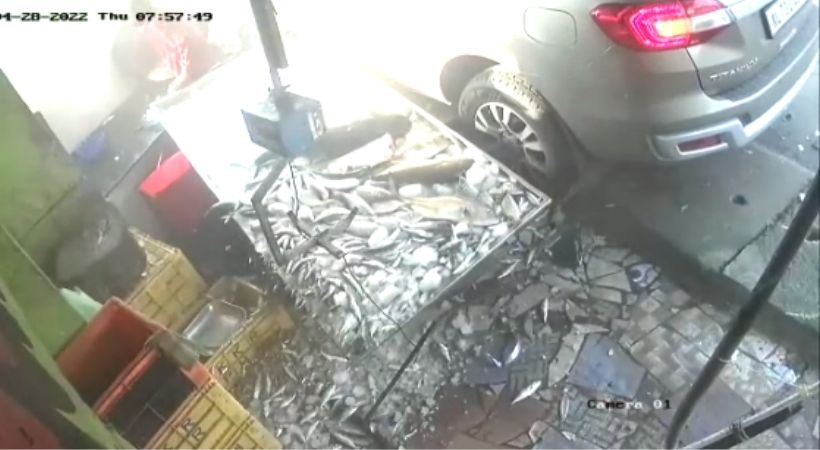 car crashes into fish shop one death