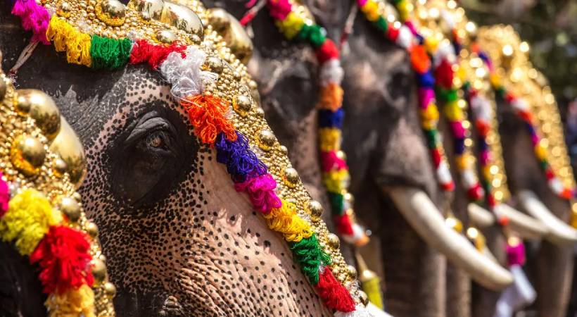 elephant procession kerala rule