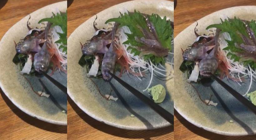 fish comes alive on plate
