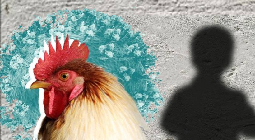 h3n8 bird flu detected in human
