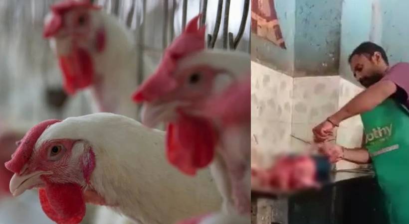 chicken skinned alive cut