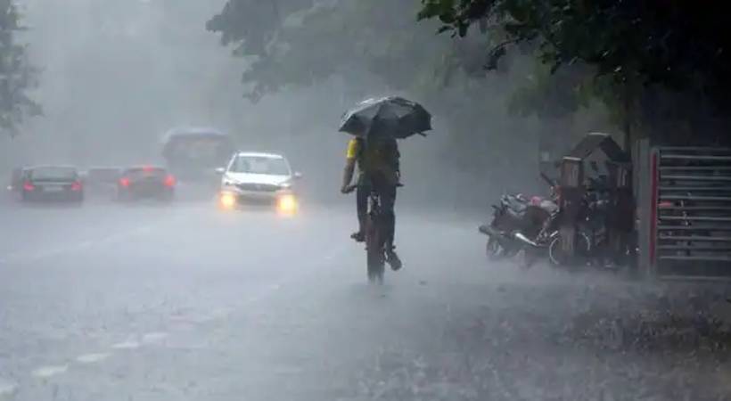 rain