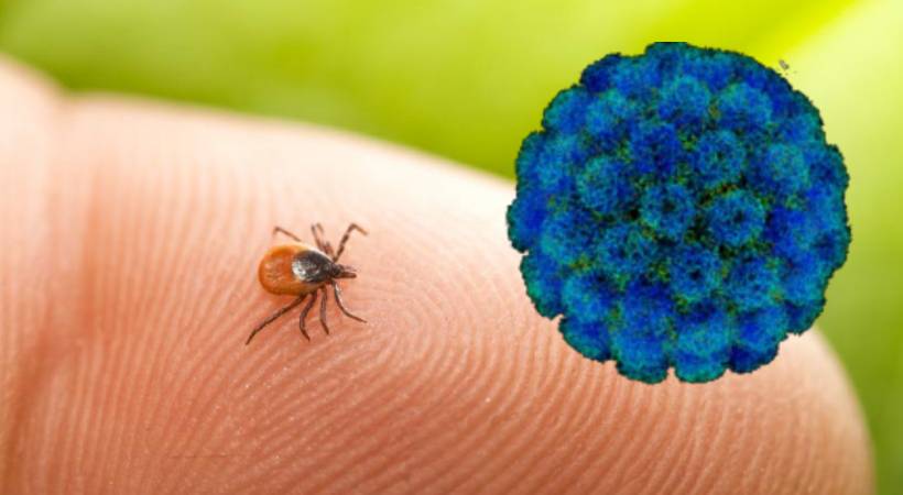 who warns about next pandemic