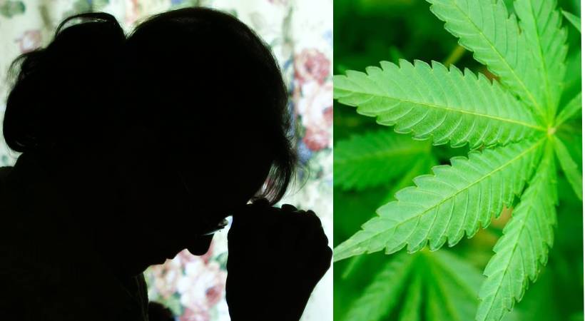 60 year old arrested for planting cannabis