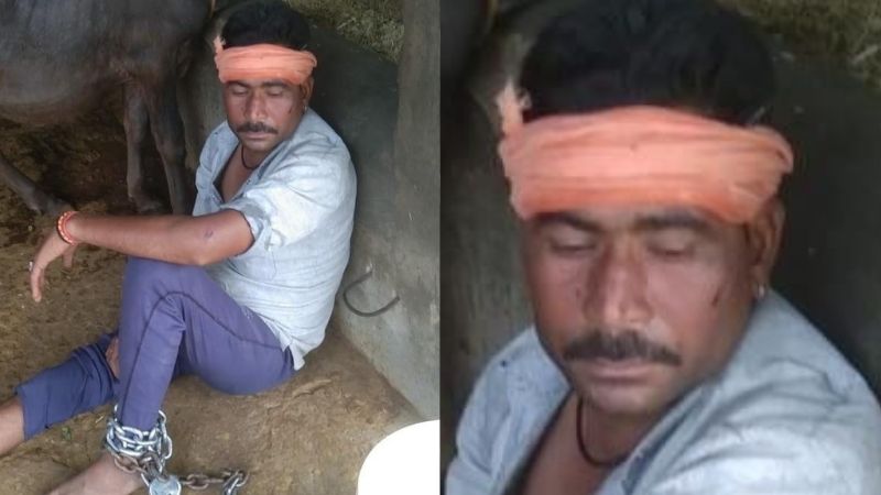 dalit youth chained in cattle shed tortured