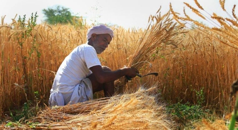 Centre extends wheat procurement