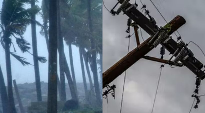Kozhikode tree fell 4 people were electrocuted