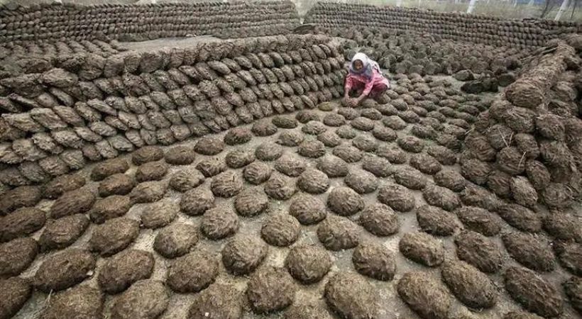 Cow dung gas plant to be set up in UP