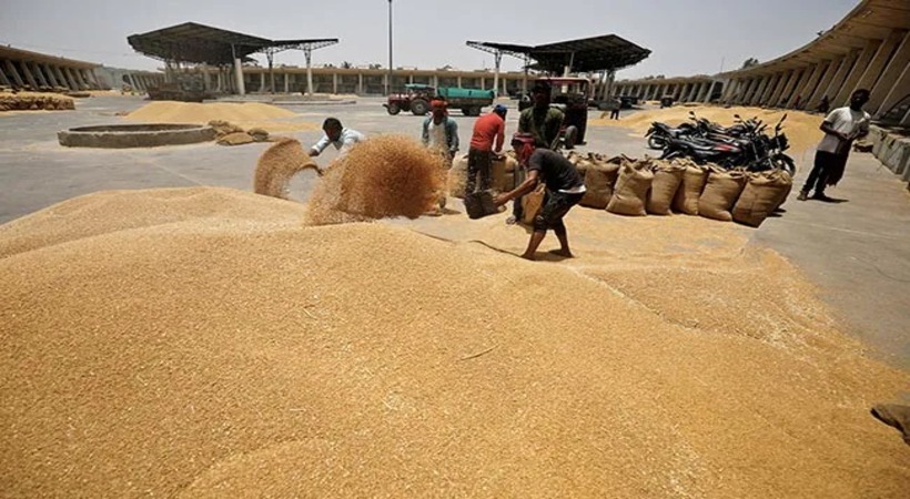 India To Allow Wheat Export Shipments Awaiting Customs Clearance
