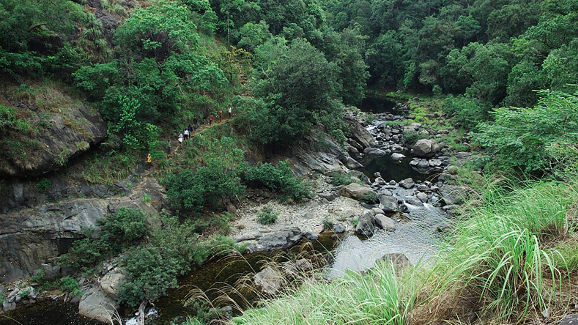 attappadi forest watcher goes missing