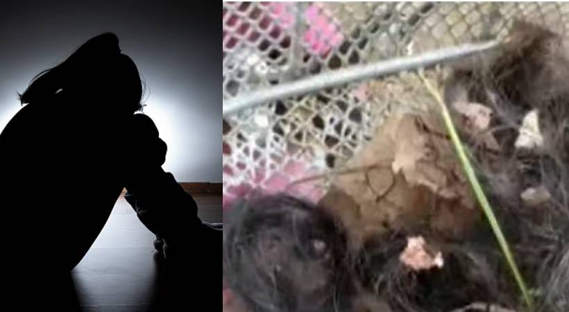 chalakkudi girl hair cut by attackers