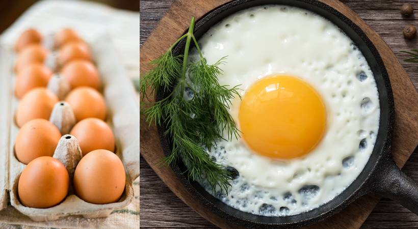 egg