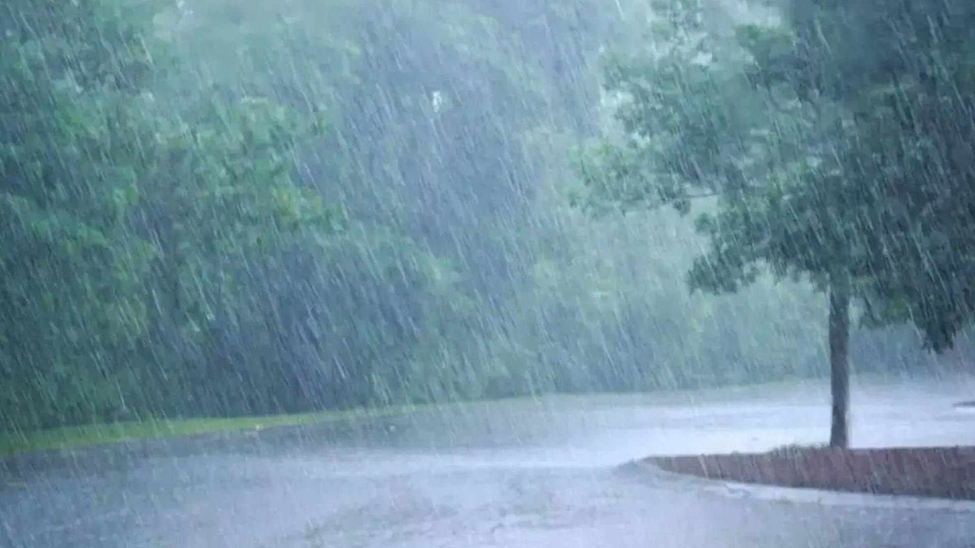 kerala expects heavy rain today