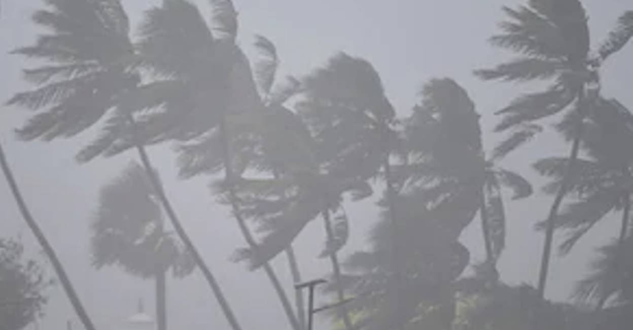 kerala rain orange alert declared in 12 districts
