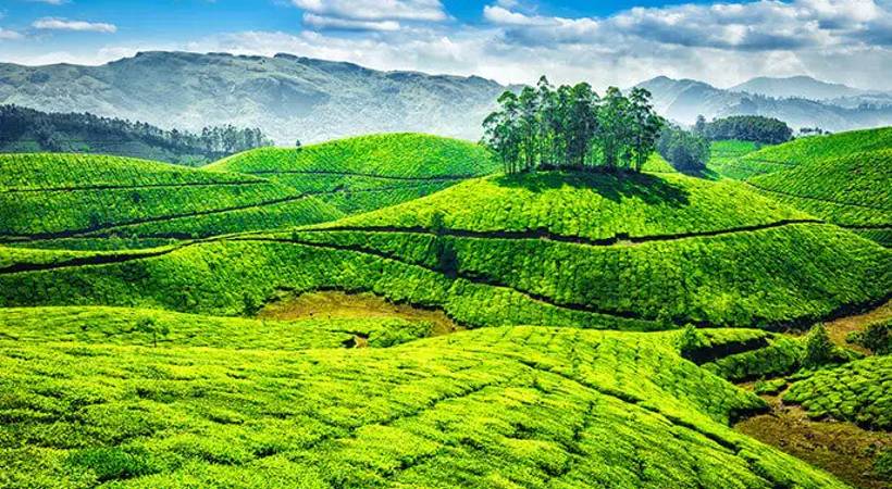 munnar
