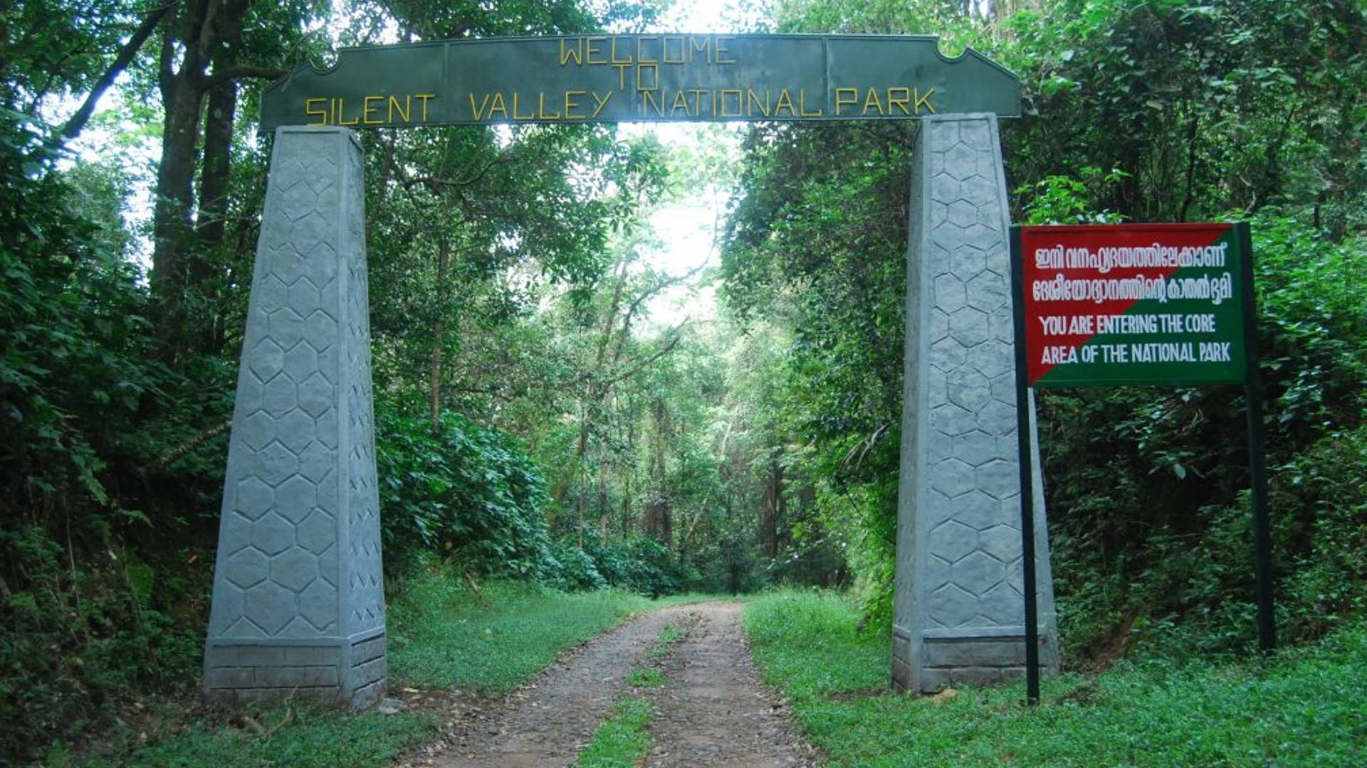 search for silent valley forest watcher