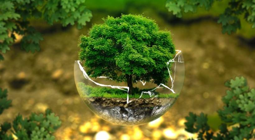 SC Judgement on Eco Sensitive Zone