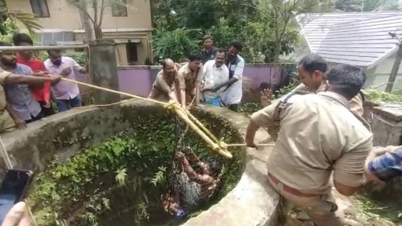 old man tried to save cat and trapped in well