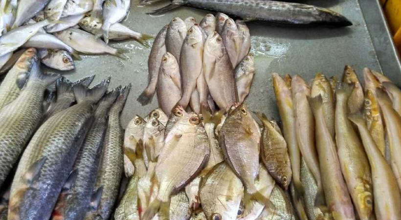 fish price skyrocket in kerala