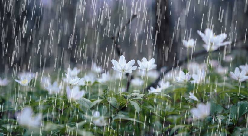 kerala expects rain no alert