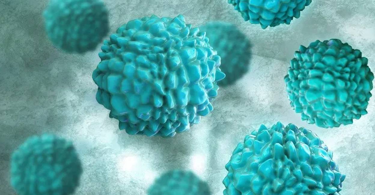 kerala reports two norovirus cases